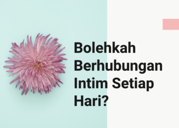 Berhubungan intim setiap hari