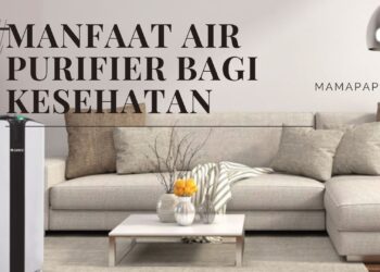 manfaat air purifier