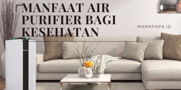 manfaat air purifier
