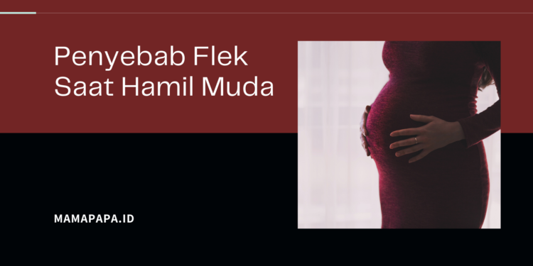 Flek Saat Hamil Muda