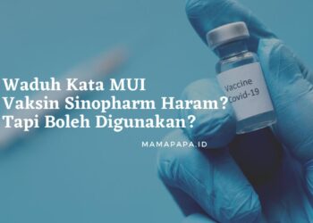 Waduh Kata MUI Vaksin Sinopharm Haram? Tapi Boleh Digunakan?