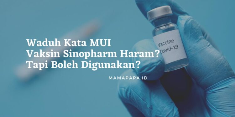 Waduh Kata MUI Vaksin Sinopharm Haram? Tapi Boleh Digunakan?