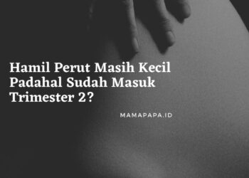 Hamil Perut Masih Kecil Padahal Sudah Masuk Trimester 2?