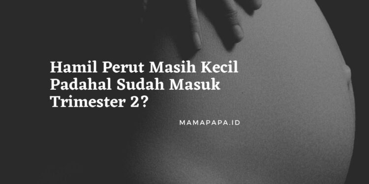 Hamil Perut Masih Kecil Padahal Sudah Masuk Trimester 2?