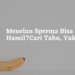 Menelan Sperma Bisa Hamil? Cari Tahu, Yuk!
