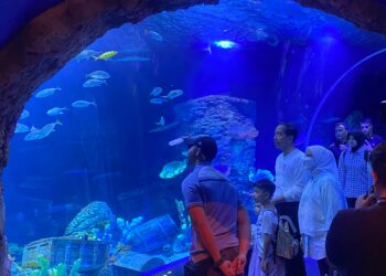 Rangkaian Show, Wahana Baru, dan Berbagai Biota Baru