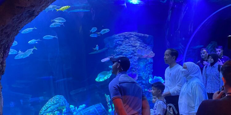 Rangkaian Show, Wahana Baru, dan Berbagai Biota Baru