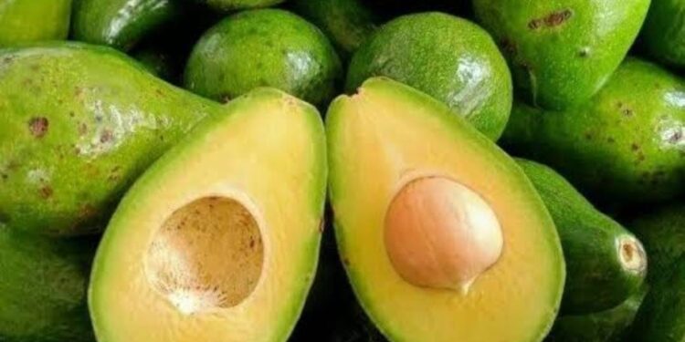 buah alpukat untuk ibu hamil
