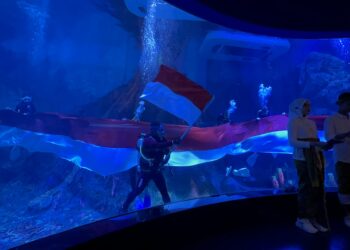 pengibaran bendera di aquarium